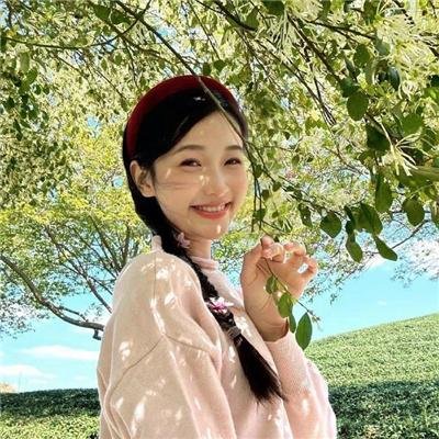 谍网纵横